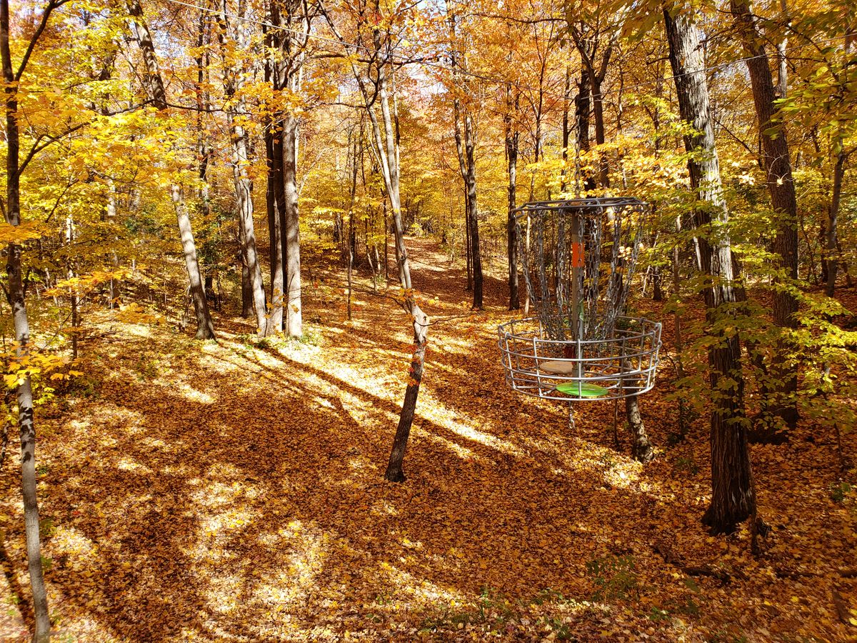 Suspended basket hole at Tjader Acres