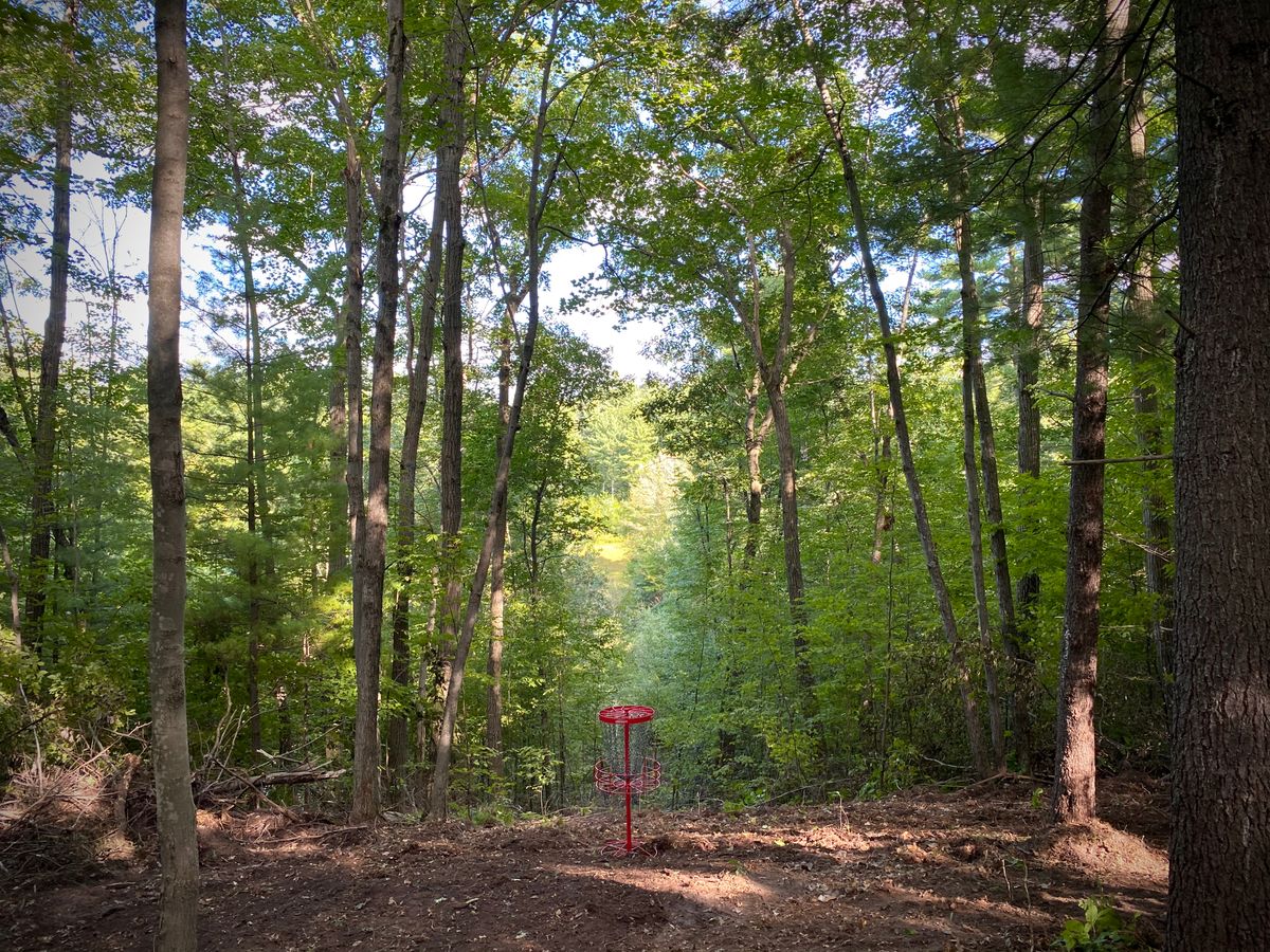 New hole through the woods at Tjader Acres
